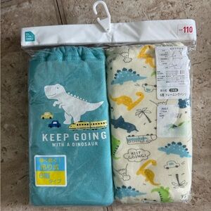 NWT potty training underwear